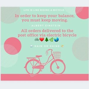 I use an electric bicycle as my main mode of transportation